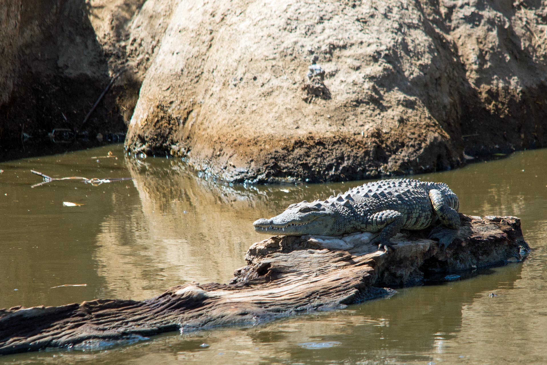 Tanzania-Safari-Tours-20